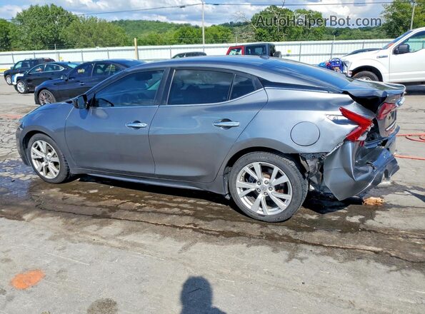 1N4AA6APXGC900080 2016 NISSAN MAXIMA Серый Задняя левая четверть