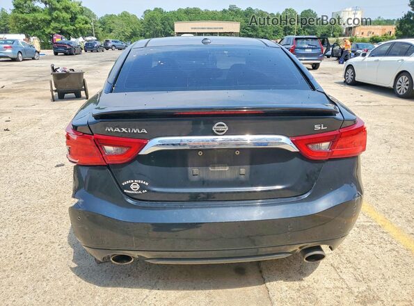 1N4AA6APXGC901066 2016 NISSAN MAXIMA Черный Вид сзади