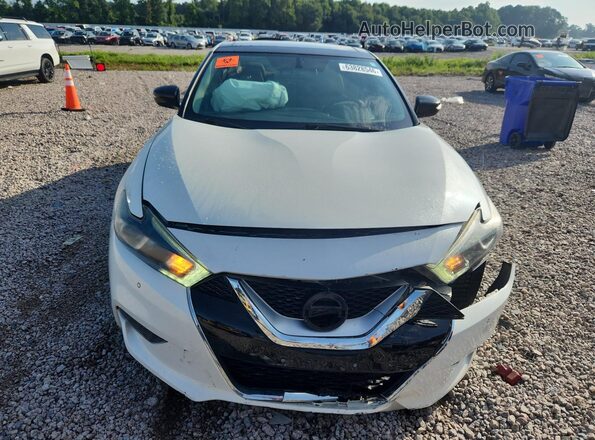 1N4AA6APXHC383753 2017 NISSAN MAXIMA White Front view