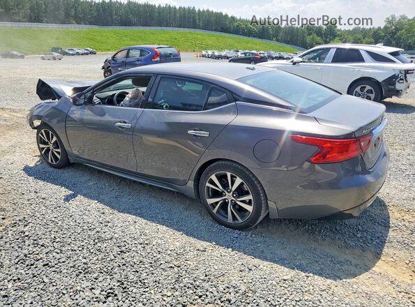 1N4AA6APXHC394722 2017 NISSAN MAXIMA Gray Задня ліва чверть