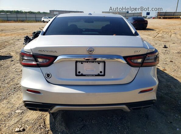 1N4AA6AV5KC364159 2019 NISSAN MAXIMA Silver უკანა ხედი
