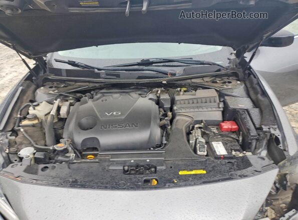 1N4AA6AV7KC381688 2019 NISSAN MAXIMA Gray Սալոնի հետևի տեսք