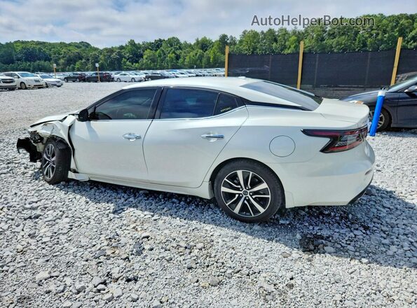 1N4AA6CV1PC504633 2023 NISSAN MAXIMA White Rear left