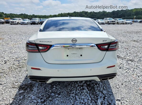1N4AA6CV1PC504633 2023 NISSAN MAXIMA White Rear view