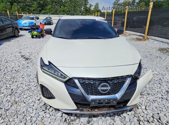1N4AA6CV1PC504633 2023 NISSAN MAXIMA White Front view