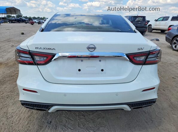 1N4AA6CV4PC501371 2023 NISSAN MAXIMA White Widok z tyłu
