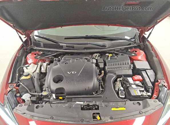 1N4AA6CV7LC365344 2020 NISSAN MAXIMA Burgundy Սալոնի հետևի տեսք