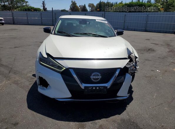 1N4AA6CV7PC512042 2023 NISSAN MAXIMA White Vista frontal