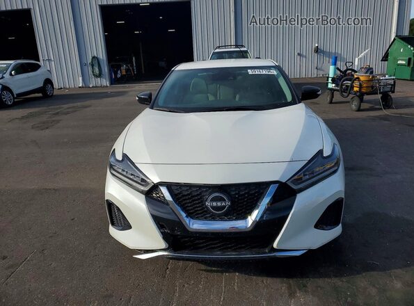 1N4AA6CVXPC513086 2023 NISSAN MAXIMA White Widok z przodu