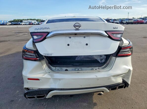 1N4AA6CVXPC513086 2023 NISSAN MAXIMA White Widok z tyłu