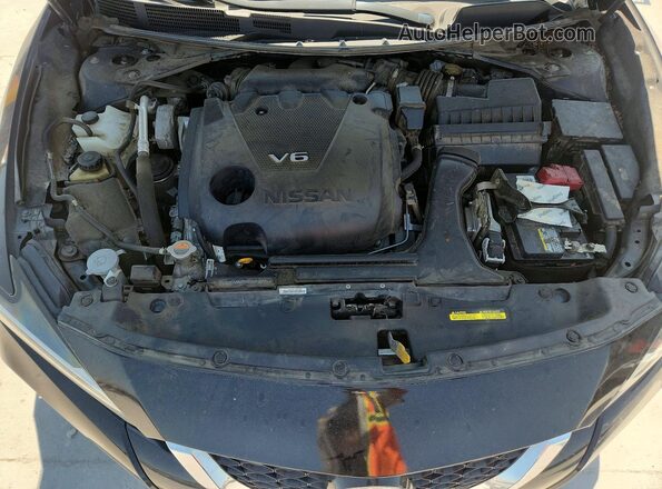 1N4AA6DV8LC365187 2020 NISSAN MAXIMA Черный Вид задней части салона