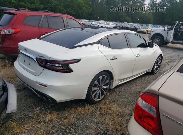 1N4AA6FV3PC504953 2023 NISSAN MAXIMA White Հետևի աջ