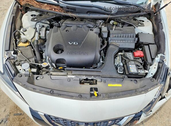 1N4AA6FV5MC505517 2021 NISSAN MAXIMA White Սալոնի հետևի տեսք