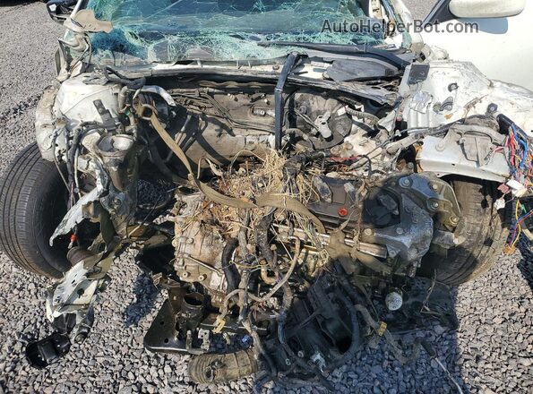 1N4AL3AP4GC159112 2016 NISSAN ALTIMA White Вид задньої частини салону