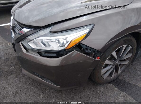 1N4AL3AP8GC250948 2016 NISSAN ALTIMA Dark Brown Սալոնի հետևի տեսք