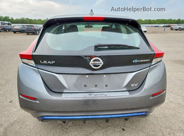 1N4AZ1CP3KC306027 2019 NISSAN LEAF Gray Հետևի տեսք