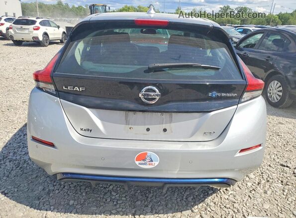 1N4AZ1CP6LC308677 2020 NISSAN LEAF Silver Հետևի տեսք