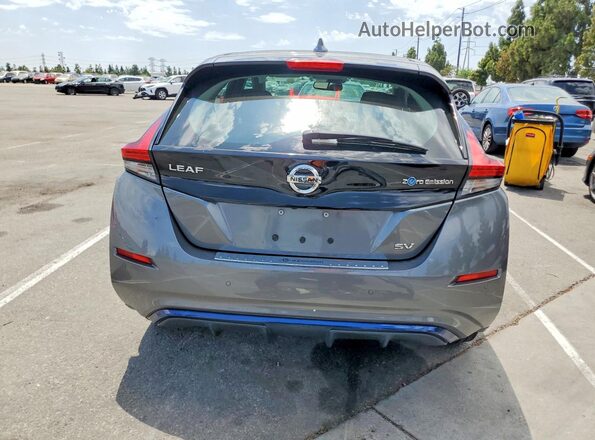 1N4AZ1CP7LC302208 2020 NISSAN LEAF Gray Widok z tyłu