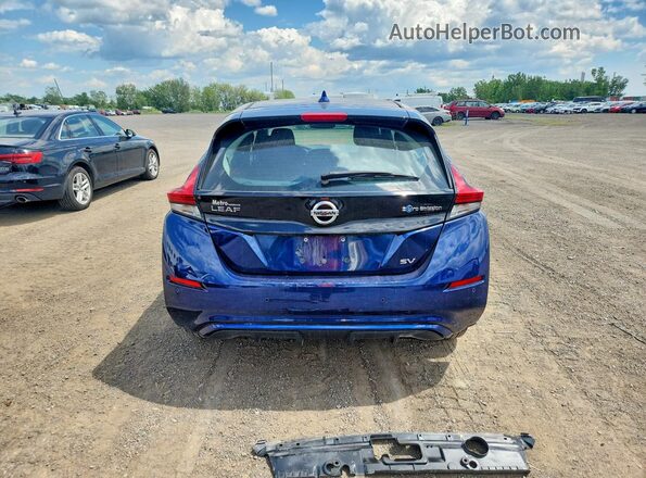 1N4AZ1CP9LC306003 2020 NISSAN LEAF Синий Вид сзади