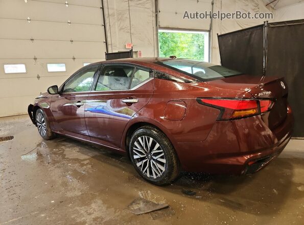 1N4BL4DV4SN335433 2025 NISSAN ALTIMA Red Սալոնի 360 աստիճան տեսք