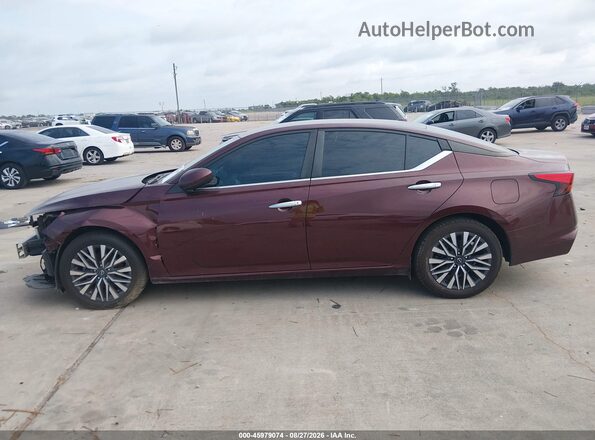 1N4BL4DV7PN313885 2023 NISSAN ALTIMA Бордовый Вид задней части салона