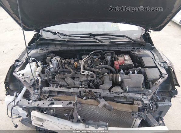 1N4BL4DV7PN313885 2023 NISSAN ALTIMA Бордовый Вид сзади