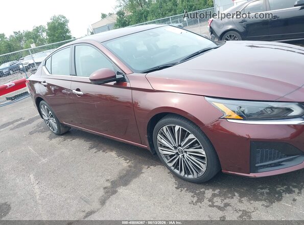 1N4BL4EV4PN355025 2023 NISSAN ALTIMA Бордовый Вид задней части салона