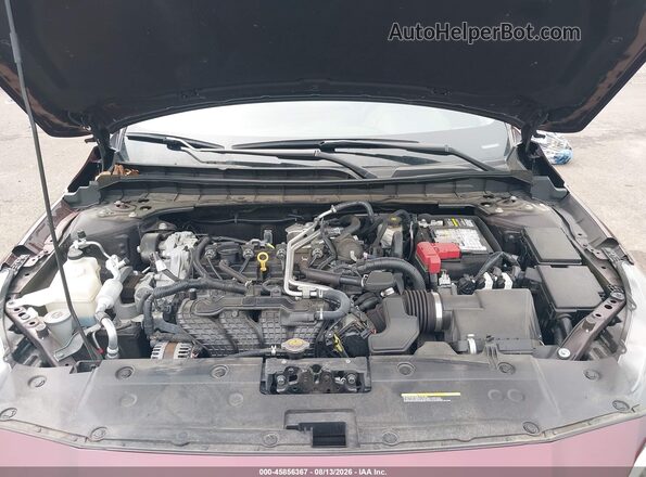 1N4BL4EV4PN355025 2023 NISSAN ALTIMA Бордовый Вид сзади