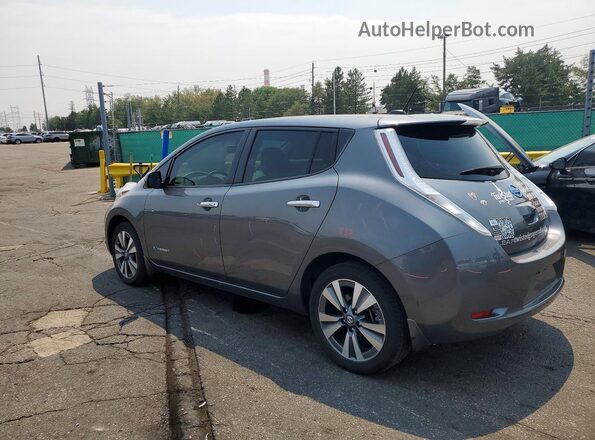 1N4BZ0CP6HC310743 2017 NISSAN LEAF Gray Հետևի ձախ
