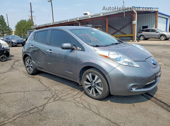 1N4BZ0CP6HC310743 2017 NISSAN LEAF Gray Առջևի աջ