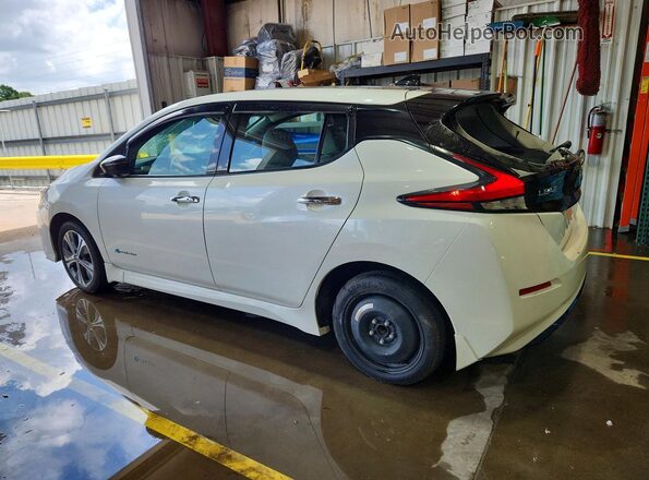 1N4BZ1CP2KC316262 2019 NISSAN LEAF White Հետևի ձախ