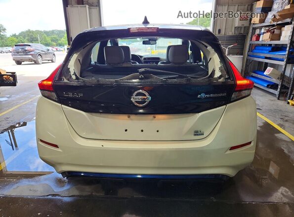 1N4BZ1CP2KC316262 2019 NISSAN LEAF White Հետևի տեսք