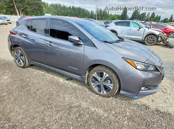 1N4BZ1CP4KC312956 2019 NISSAN LEAF Серый Передняя правая четверть