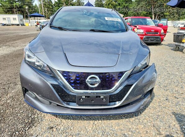1N4BZ1CP4KC312956 2019 NISSAN LEAF Серый Вид спереди