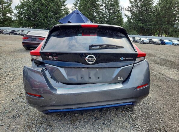 1N4BZ1CP4KC312956 2019 NISSAN LEAF Серый Вид сзади