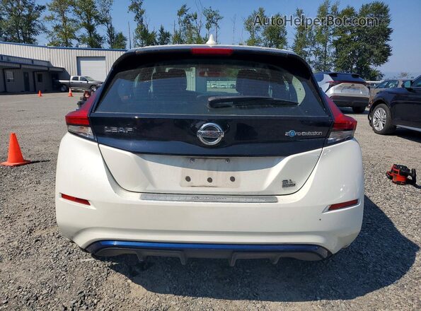 1N4BZ1CP9KC310815 2019 NISSAN LEAF Белый Вид сзади