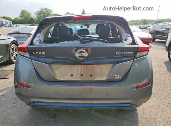 1N4BZ1DP7LC311493 2020 NISSAN LEAF Серый Вид сзади