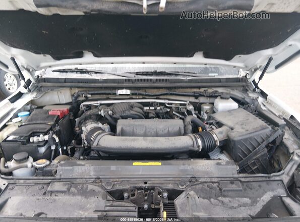 1N6ED1CL5RN638019 2024 NISSAN FRONTIER Белый Вид сзади