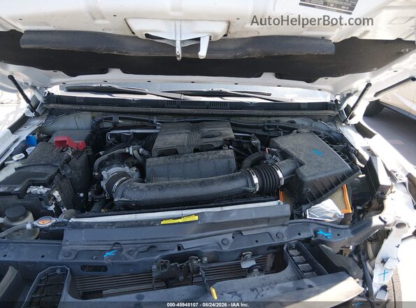 1N6ED1CL8PN663008 2023 NISSAN FRONTIER White Widok z tyłu