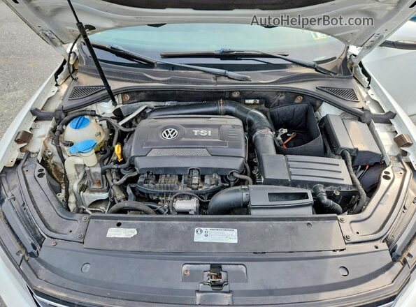 1VWAT7A33GC056422 2016 VOLKSWAGEN PASSAT White Սալոնի հետևի տեսք