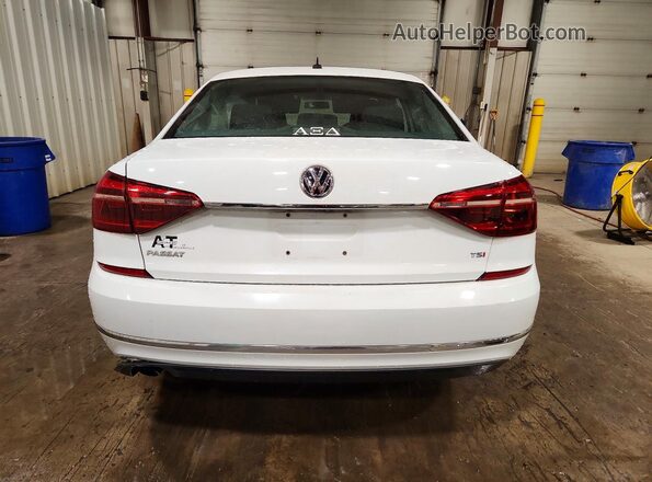 1VWAT7A37HC007399 2017 VOLKSWAGEN PASSAT White Вид ззаду