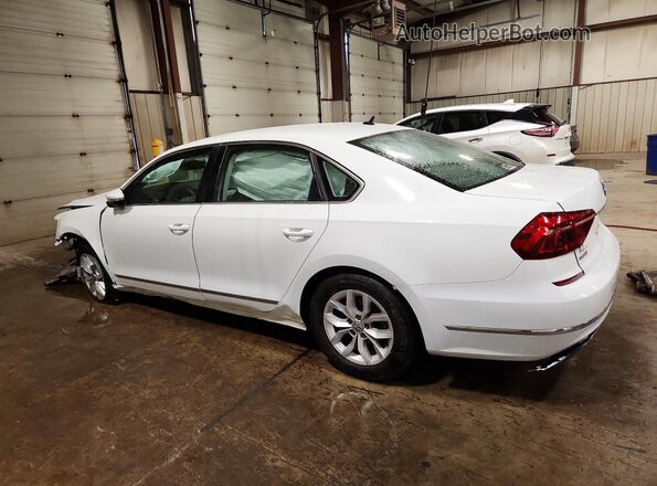 1VWAT7A37HC007399 2017 VOLKSWAGEN PASSAT White Задня ліва чверть