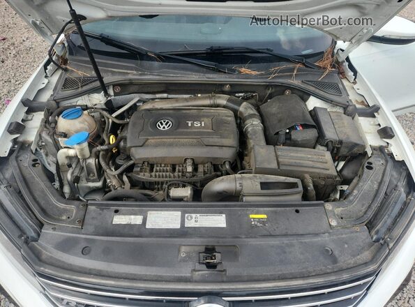 1VWDT7A34HC035416 2017 VOLKSWAGEN PASSAT White Սալոնի հետևի տեսք