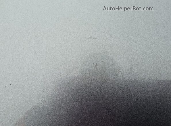 1VWSA7A38LC022450 2020 VOLKSWAGEN PASSAT Серый Вид наклейки с VIN-кодом
