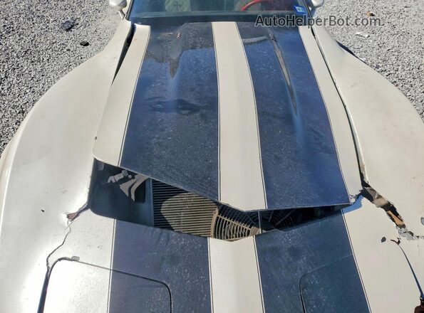 1Z8749S403563 1979 CHEVROLET CORVETTE Двухцветный Вид задней части салона