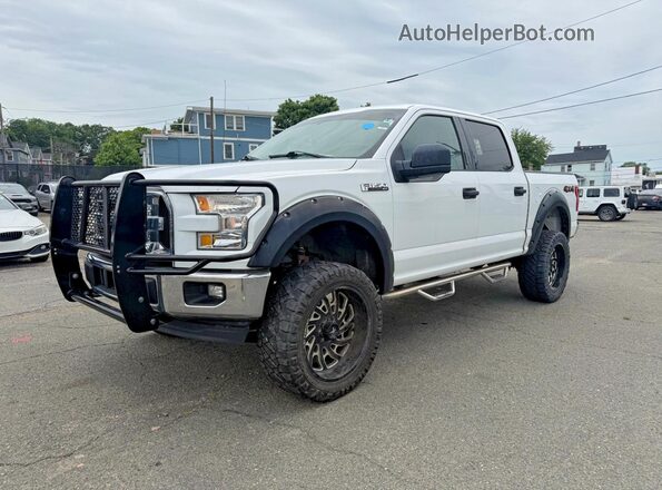 1FTEW1EG6HKD74905 2017 FORD F150 White Հետևի աջ