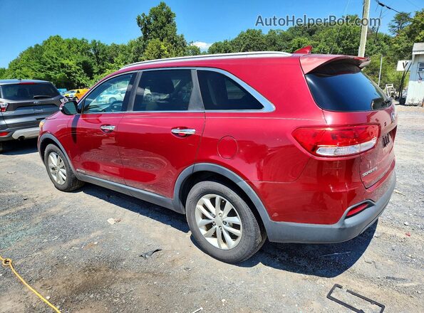 5XYPGDA53GG109682 2016 KIA SORENTO Red Tył prawy