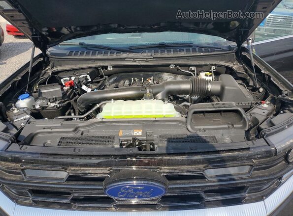1FMJU1M82TEA41635 2026 FORD EXPEDITION Black Widok naklejki z numerem VIN