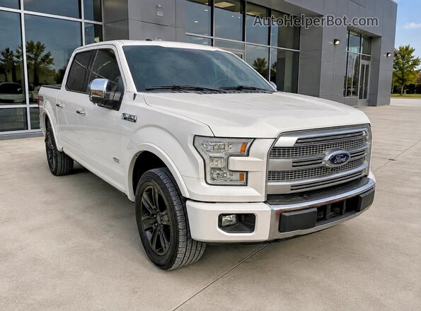 1FTEW1EG1HFB33214 2017 FORD F150 White Tył lewy
