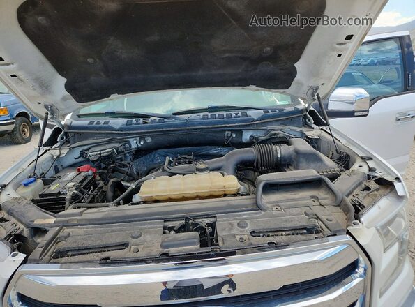 1FTEW1EPXHKD24993 2017 FORD F150 White Widok komory silnika